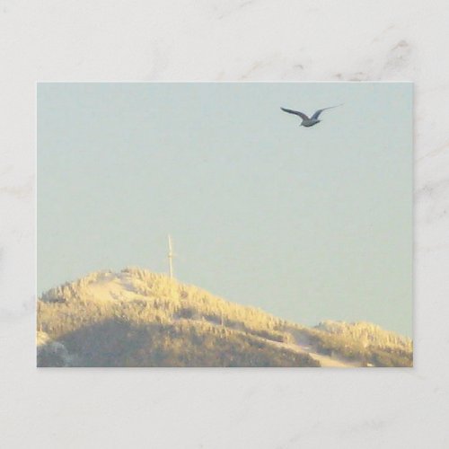 Grouse Mountain BC Postcard