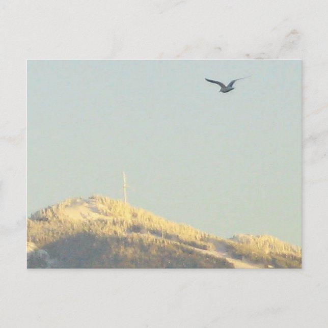 Grouse Mountain, BC Postcard (Front)