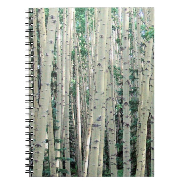 Grove of Mountain Aspen Trees Notebook (Front)
