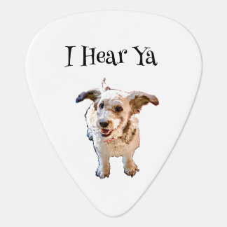 Groverallman Guitar Pick