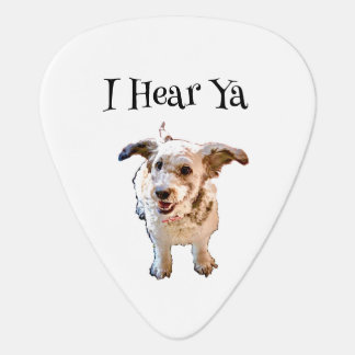 Groverallman Guitar Pick