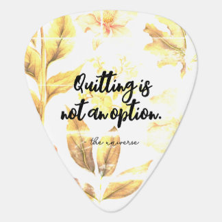 Groverallman Guitar Pick - Inspirational Quote