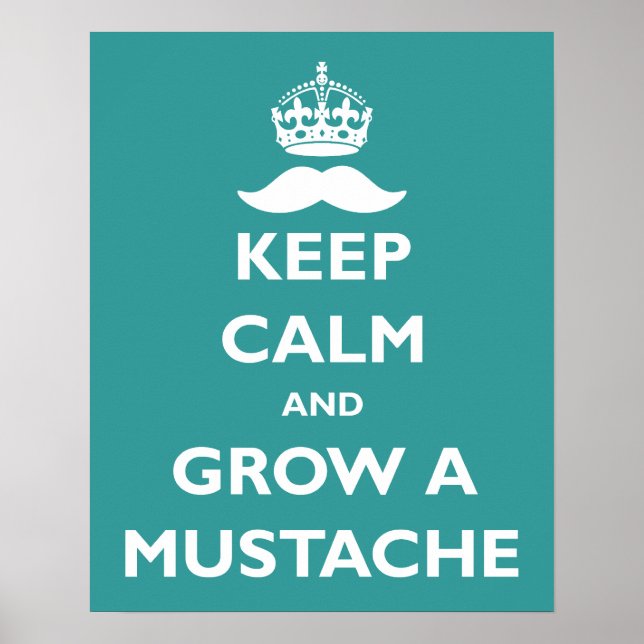 Grow a Mustache Poster (Front)