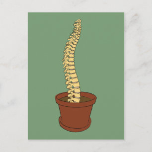 Grow A Spine Postcard