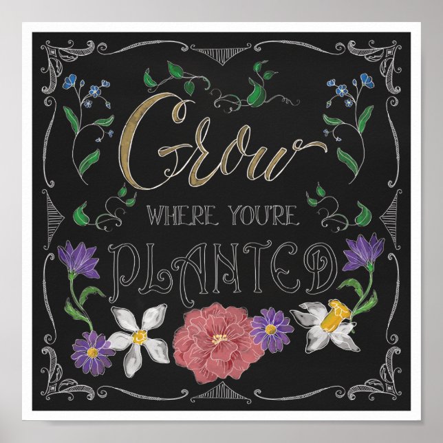 Grow Where You are Planted, Inspirational Decor (Front)