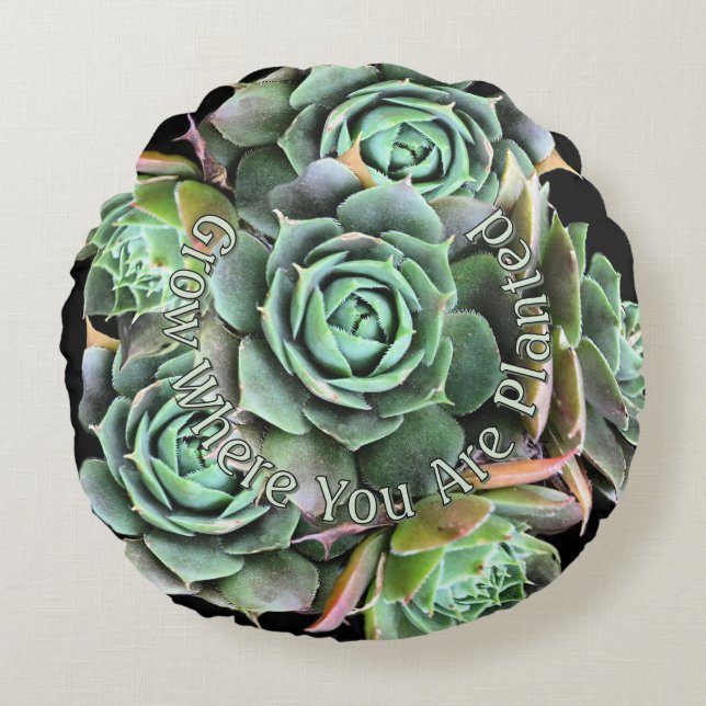 Grow Where You Are Planted Succulent Pillow (Front)