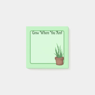 Grow Where You Are! (Pretty Potted Plant) Post-it Notes