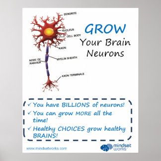 Grow Your Brain Neurons Brainology® Poster