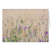 Growing Grain Card (Front Horizontal)