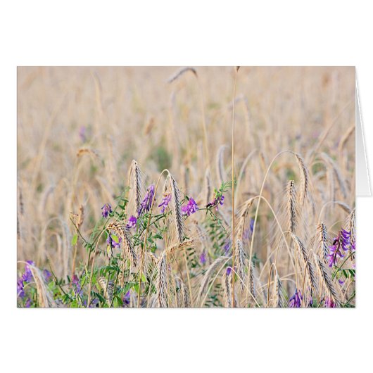 Growing Grain Card (Front Horizontal)