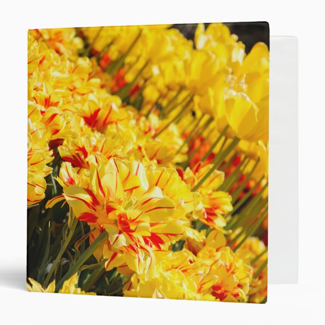 Growing in Gold  3 Ring Binder (Front/Inside)