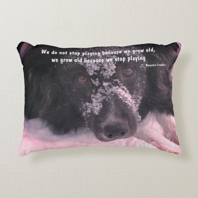 Growing Old Inspirational Quote Border Collie  Accent Pillow (Front)
