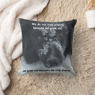 Growing Old Inspirational Quote Border Collie  Throw Pillow