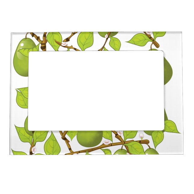 Growing Pears Magnetic Frame (Front)