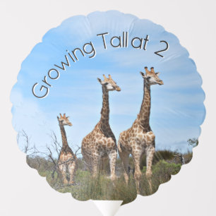 Growing Tall Safari Lift Balloon