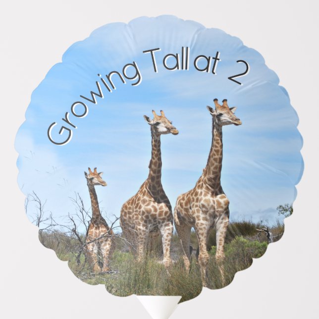 Growing Tall Safari Lift Balloon (Front)