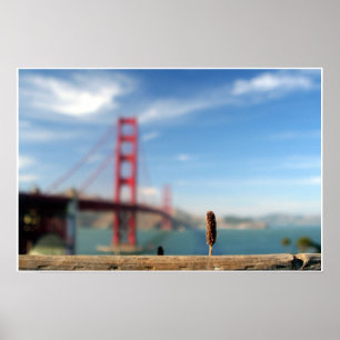 Growing Up at Golden Gate Poster