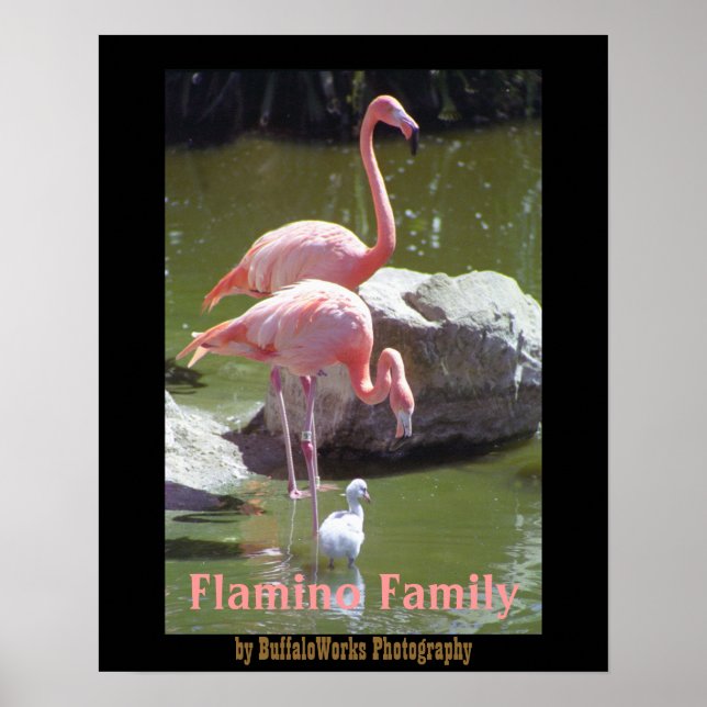 Growing Up Flamingo Poster (Front)