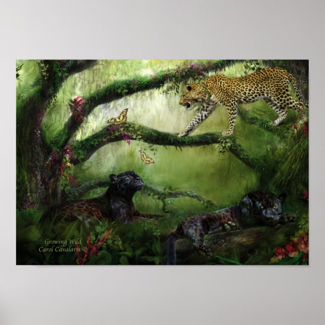 Growing Wild Art Poster/Print Poster (Front)