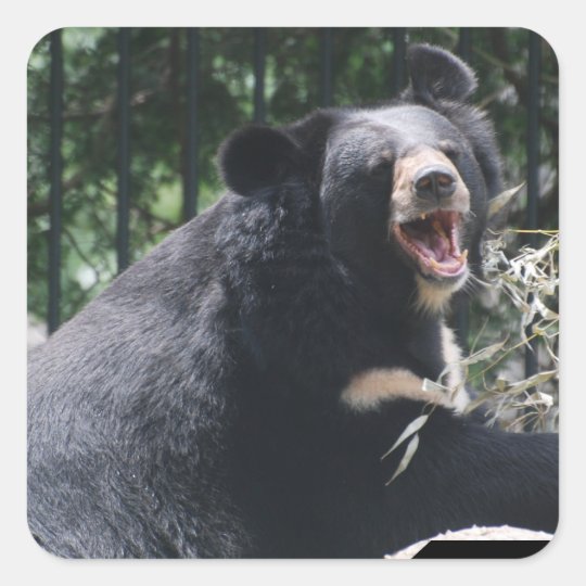 Growling Bear Stickers