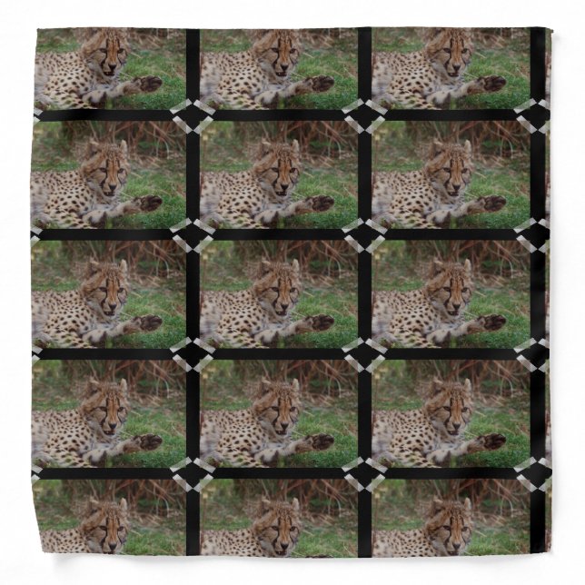 Growling Cheetah Bandana (Front)