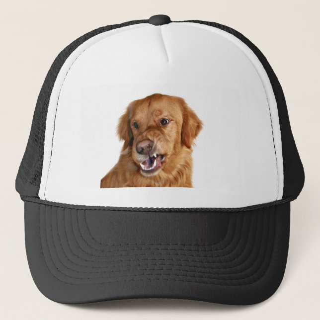 Growling Golden Retriever hat (Front)