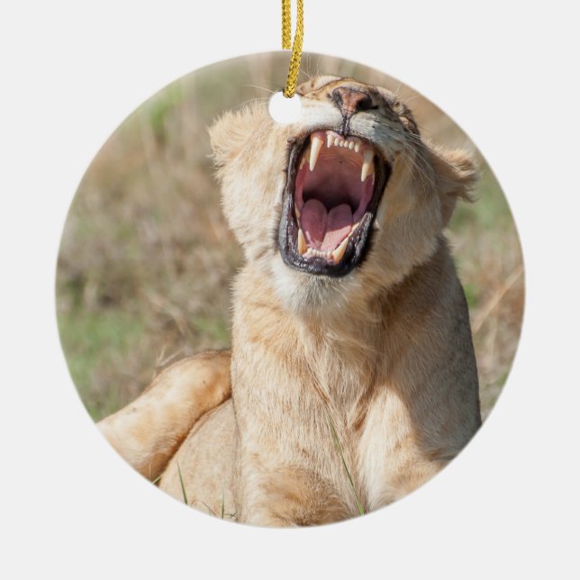Growling Lioness Ceramic Ornament (Front)