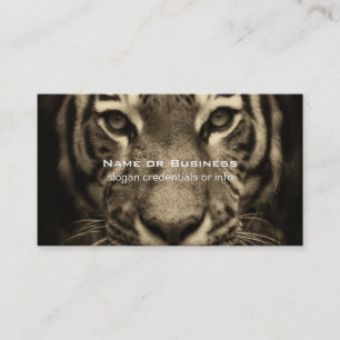 Growling Tiger Face in Sepia Tones Business Card