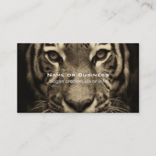 Growling Tiger Face in Sepia Tones Business Card