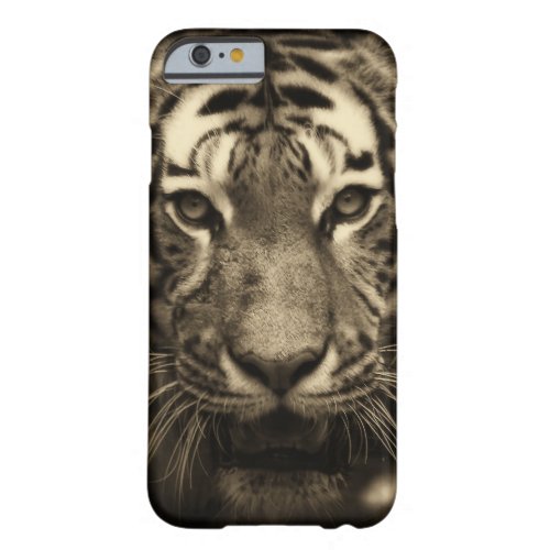Growling Tiger Face in Sepia Tones Barely There iPhone 6 Case