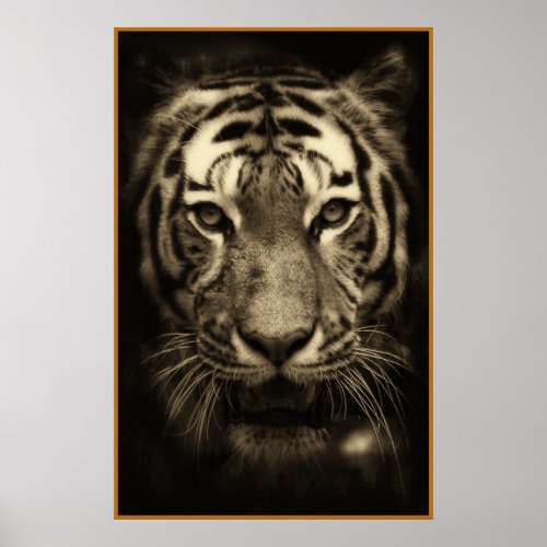 Growling Tiger Face in Sepia Tones Poster