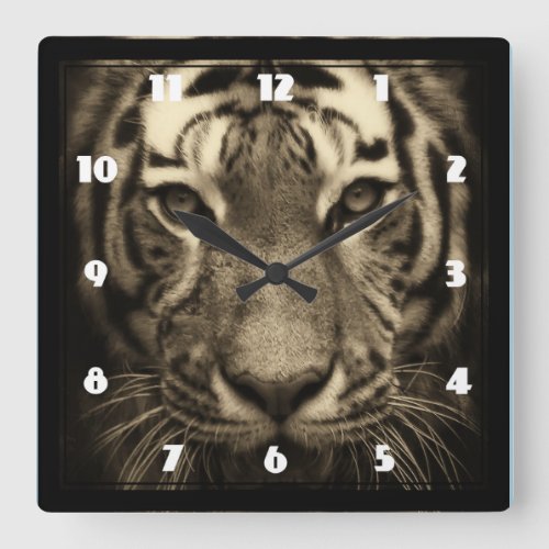 Growling Tiger Face in Sepia Tones Square Wall Clock