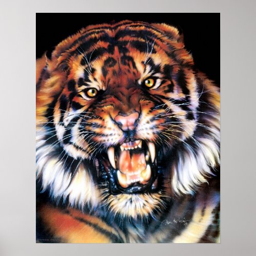 Growling Tiger Poster