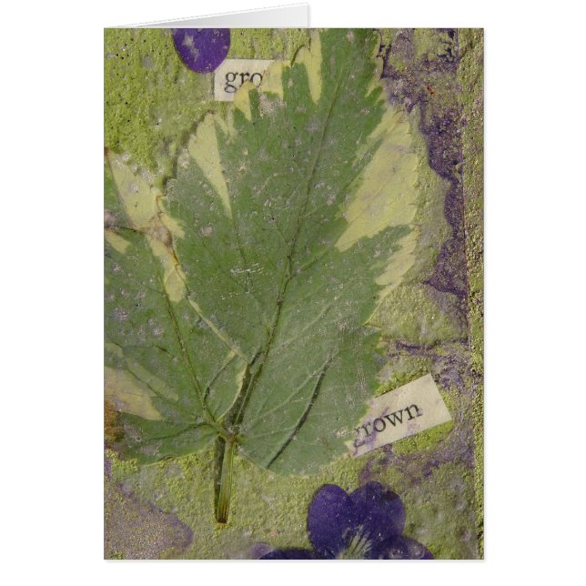 Grown Mixed Media Cards (Front)