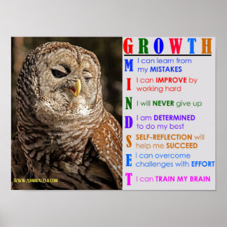 Growth Mindset Owl Poster