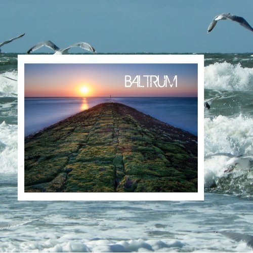 Groyne Breakwater Baltrum Island East Frisia Postcard