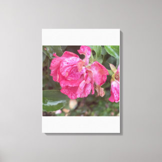 grreyforaday Pink Floral Print