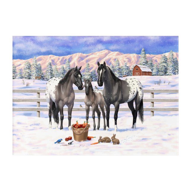 Grulla Gray Appaloosa Horses On A Farm In Snow Acrylic Print (Front)