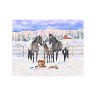 Grulla Gray Appaloosa Horses On A Farm In Snow Metal Print
