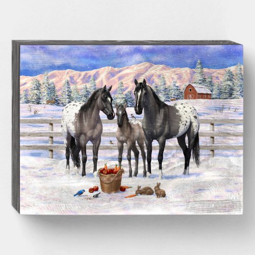 Grulla Gray Appaloosa Horses On A Farm In Snow Wooden Box Sign