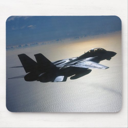 Grumman F_14 Tomcat Mouse Pad