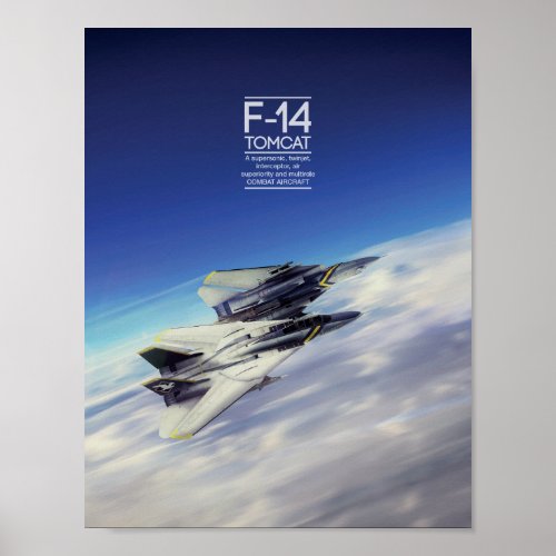 Grumman F_14 Tomcat poster