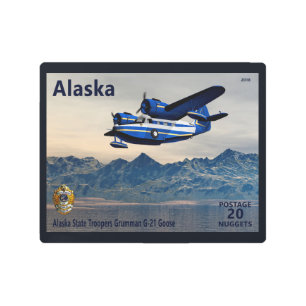 Grumman G-21 Goose Metal Print