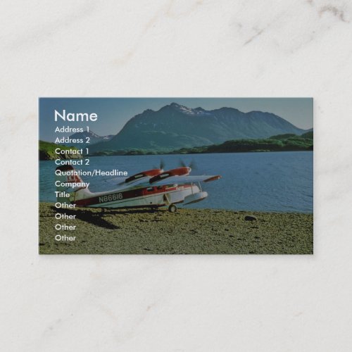 Grumman Widgeon N86616 Business Card Template