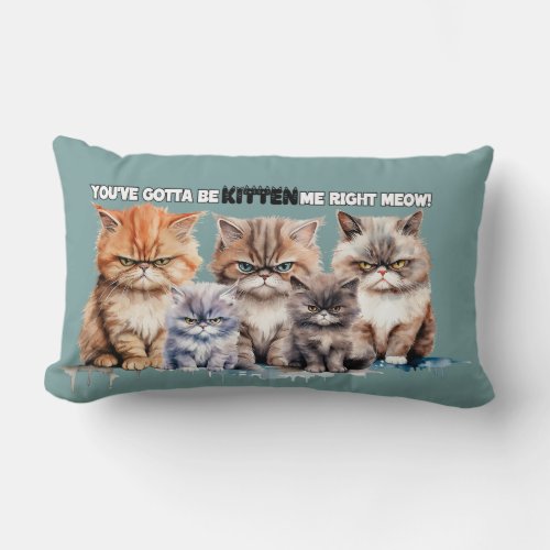 Grump Kittens_Youve Gotta Be Kitten Me Right Meow Lumbar Pillow