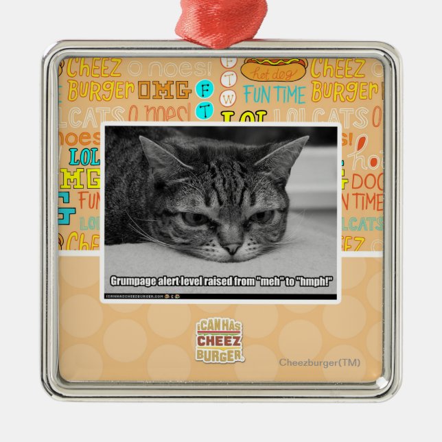 Grumpage Alert Metal Ornament (Front)