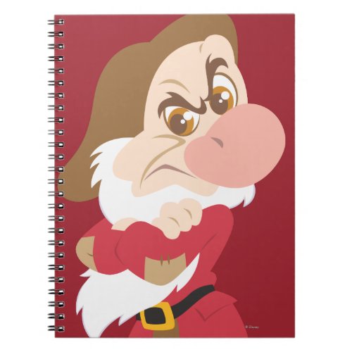 Grumpy 10 notebook