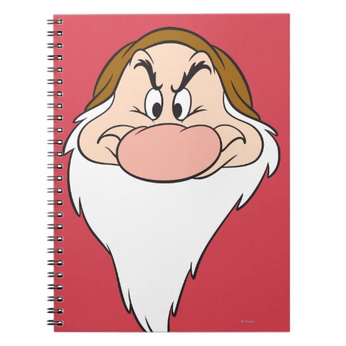 Grumpy 11 notebook