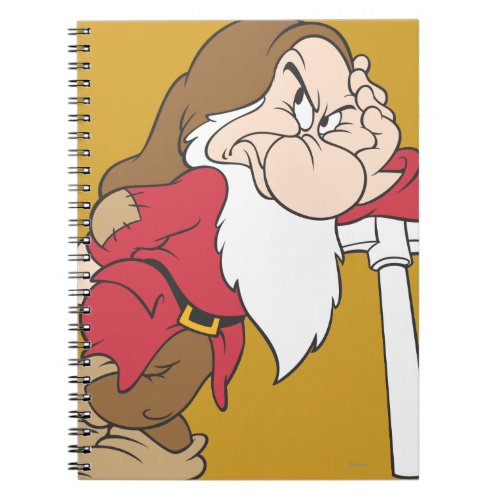 Grumpy 12 notebook
