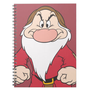 Grumpy 2 notebook